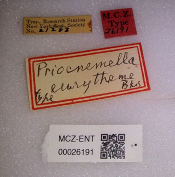 Media type: image;   Entomology 26191 Aspect: labels